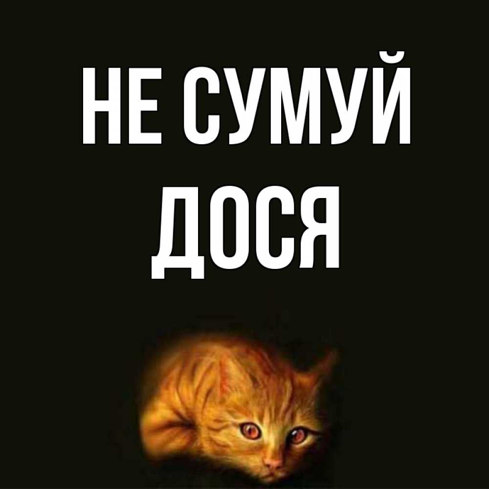 Открытка на каждый день з підписом, Дося Не сумуй лежащий кот в темноте Прикольна листівка з побажанням онлайн скачати безкоштовно 