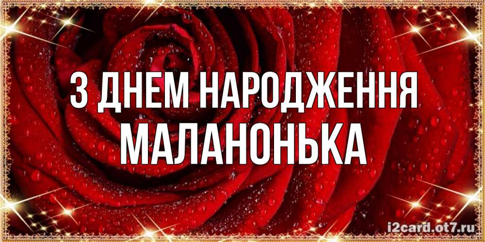 Открытка на каждый день з підписом, Маланонька З Днем народження роса на розе блестящая в лучах солнца Прикольна листівка з побажанням онлайн скачати безкоштовно 