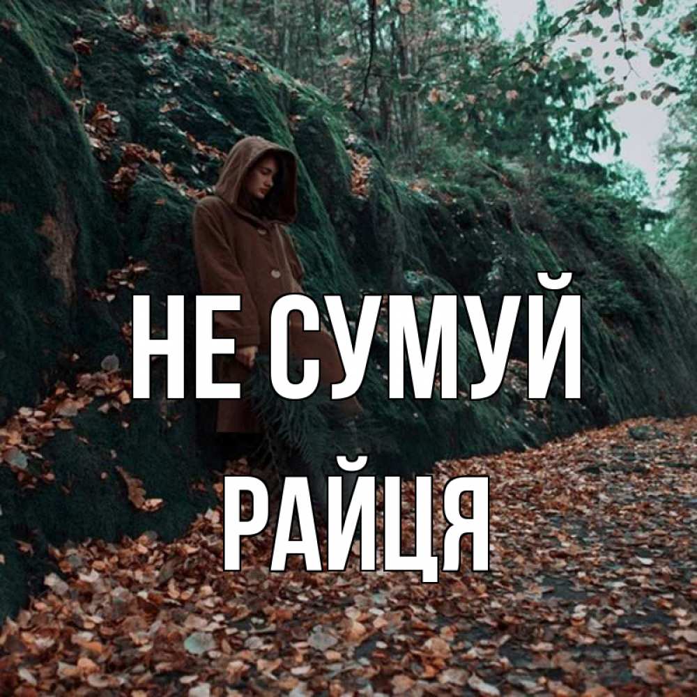 Открытка на каждый день з підписом, Райця Не сумуй осенний лес Прикольна листівка з побажанням онлайн скачати безкоштовно 