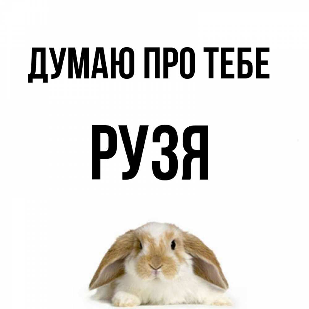 Открытка на каждый день з підписом, Рузя Думаю про тебе подписать своими руками онлайн Прикольна листівка з побажанням онлайн скачати безкоштовно 