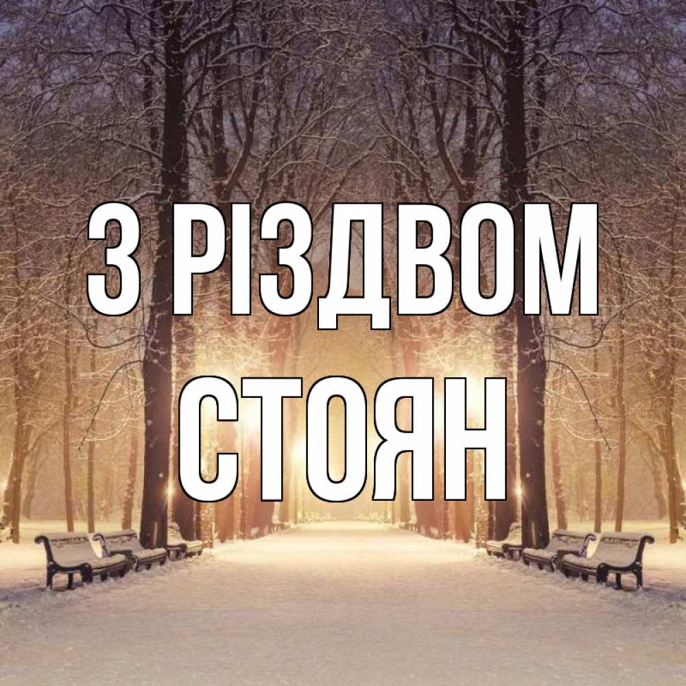 Открытка на каждый день з підписом, Стоян З Різдвом зима, парк, фонарь, лес Прикольна листівка з побажанням онлайн скачати безкоштовно 