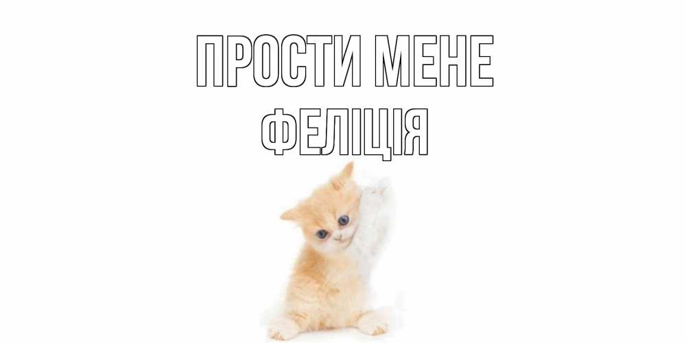 Открытка на каждый день з підписом, Феліція Прости мене кот Прикольна листівка з побажанням онлайн скачати безкоштовно 