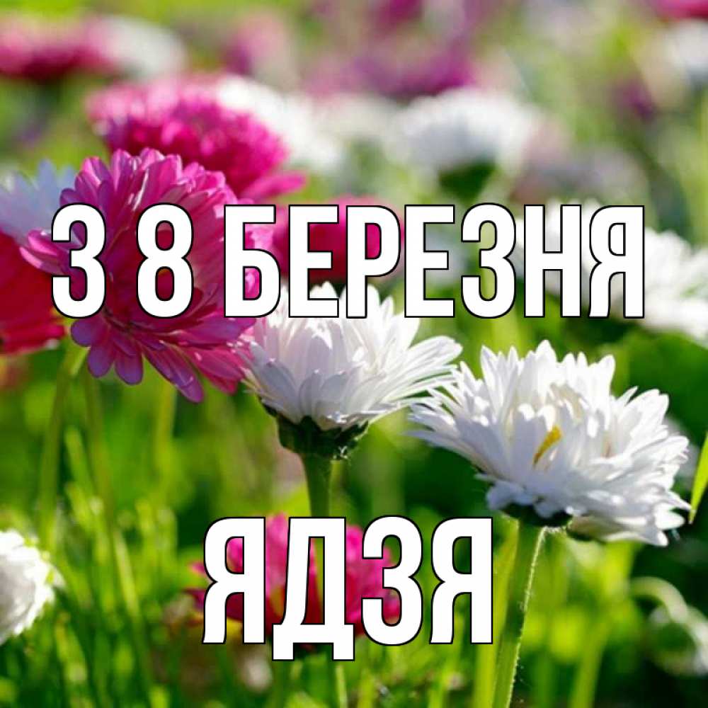 Открытка на каждый день з підписом, Ядзя З 8 БЕРЕЗНЯ международный женский день 1 Прикольна листівка з побажанням онлайн скачати безкоштовно 