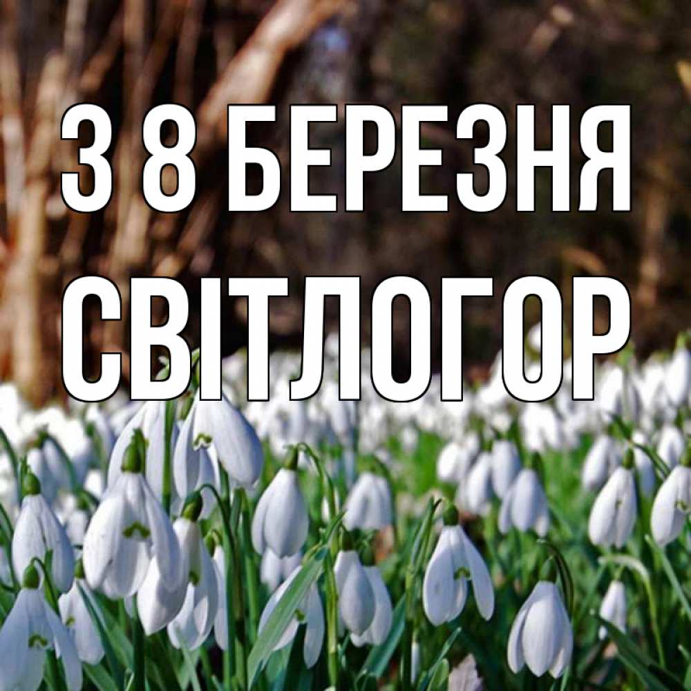 Открытка на каждый день з підписом, Світлогор З 8 БЕРЕЗНЯ с подснежниками 1 Прикольна листівка з побажанням онлайн скачати безкоштовно 