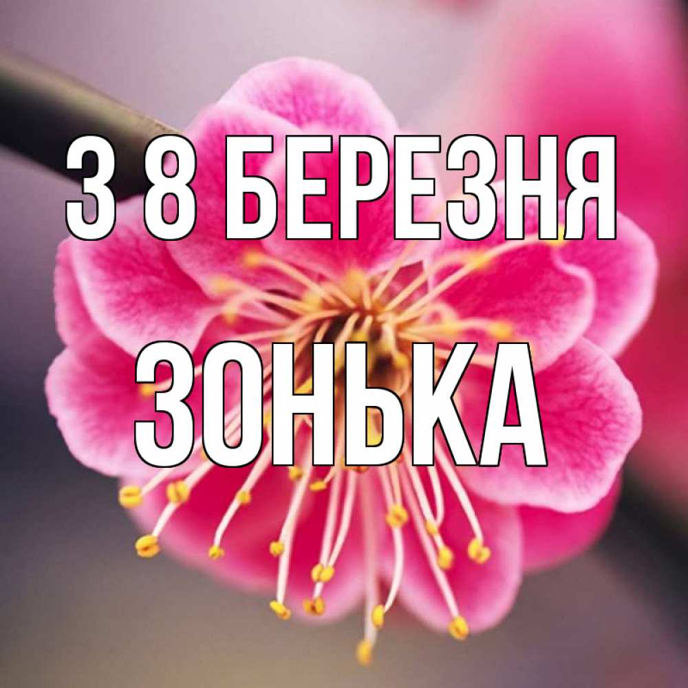 Открытка на каждый день з підписом, Зонька З 8 БЕРЕЗНЯ цветы Прикольна листівка з побажанням онлайн скачати безкоштовно 