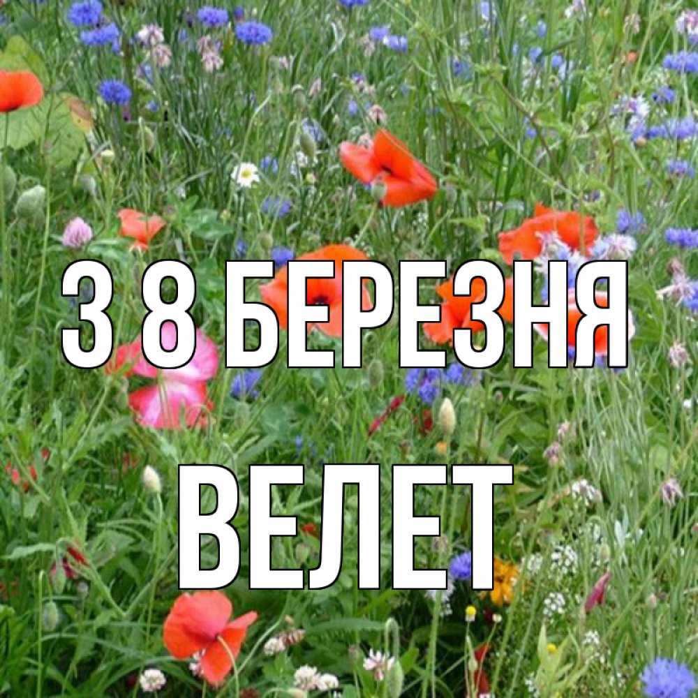 Открытка на каждый день з підписом, Велет З 8 БЕРЕЗНЯ международный женский день 4 Прикольна листівка з побажанням онлайн скачати безкоштовно 