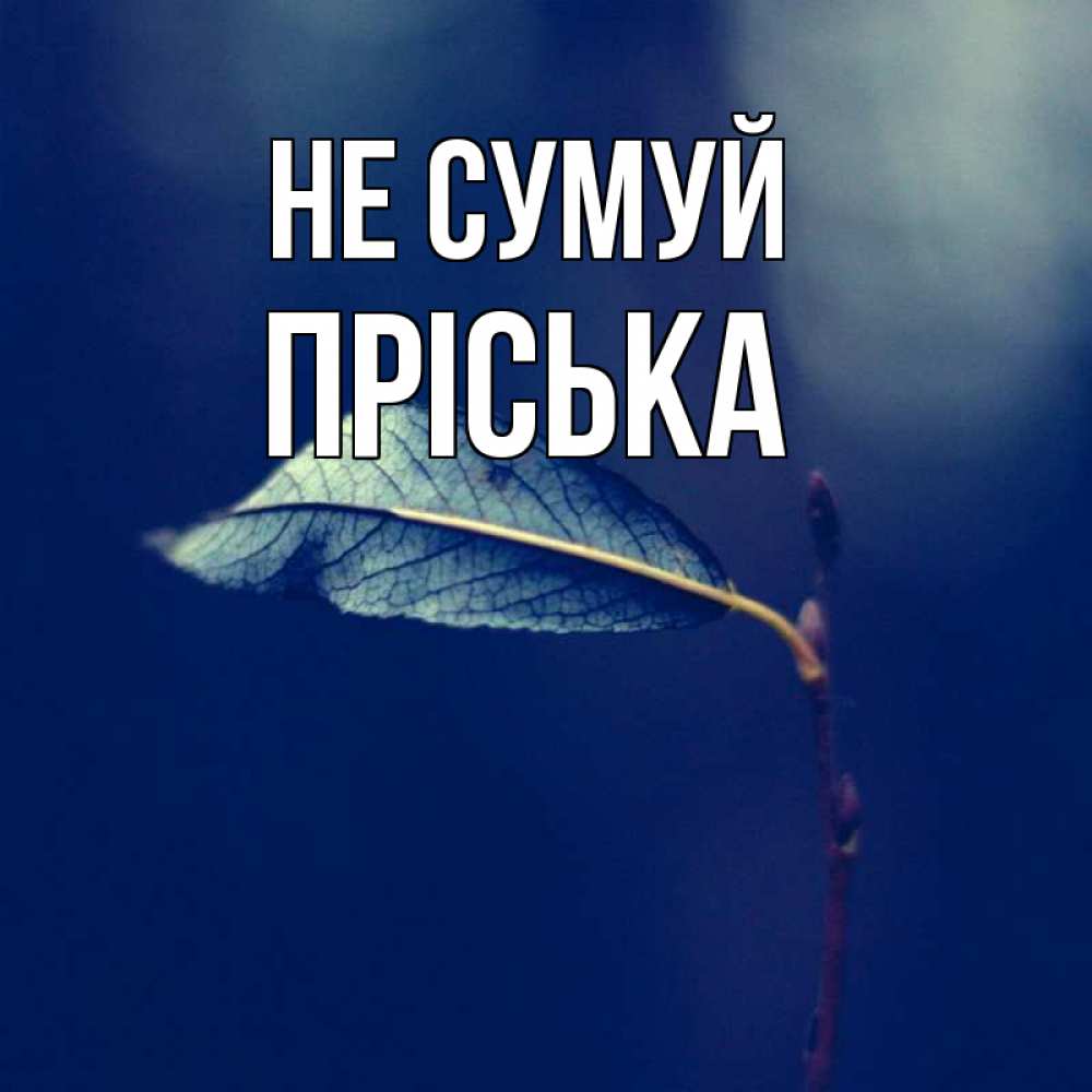 Открытка на каждый день з підписом, Пріська Не сумуй растение Прикольна листівка з побажанням онлайн скачати безкоштовно 
