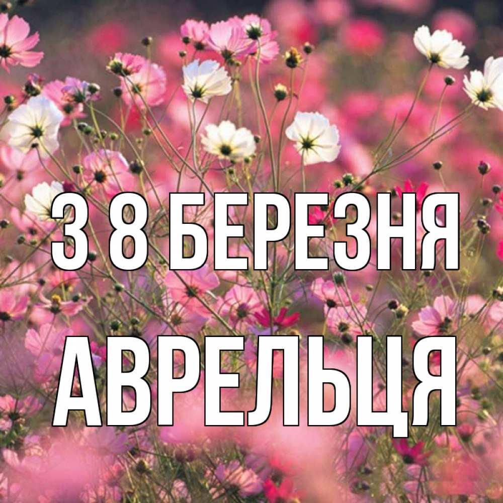 Открытка на каждый день з підписом, Аврельця З 8 БЕРЕЗНЯ красиво 1 Прикольна листівка з побажанням онлайн скачати безкоштовно 