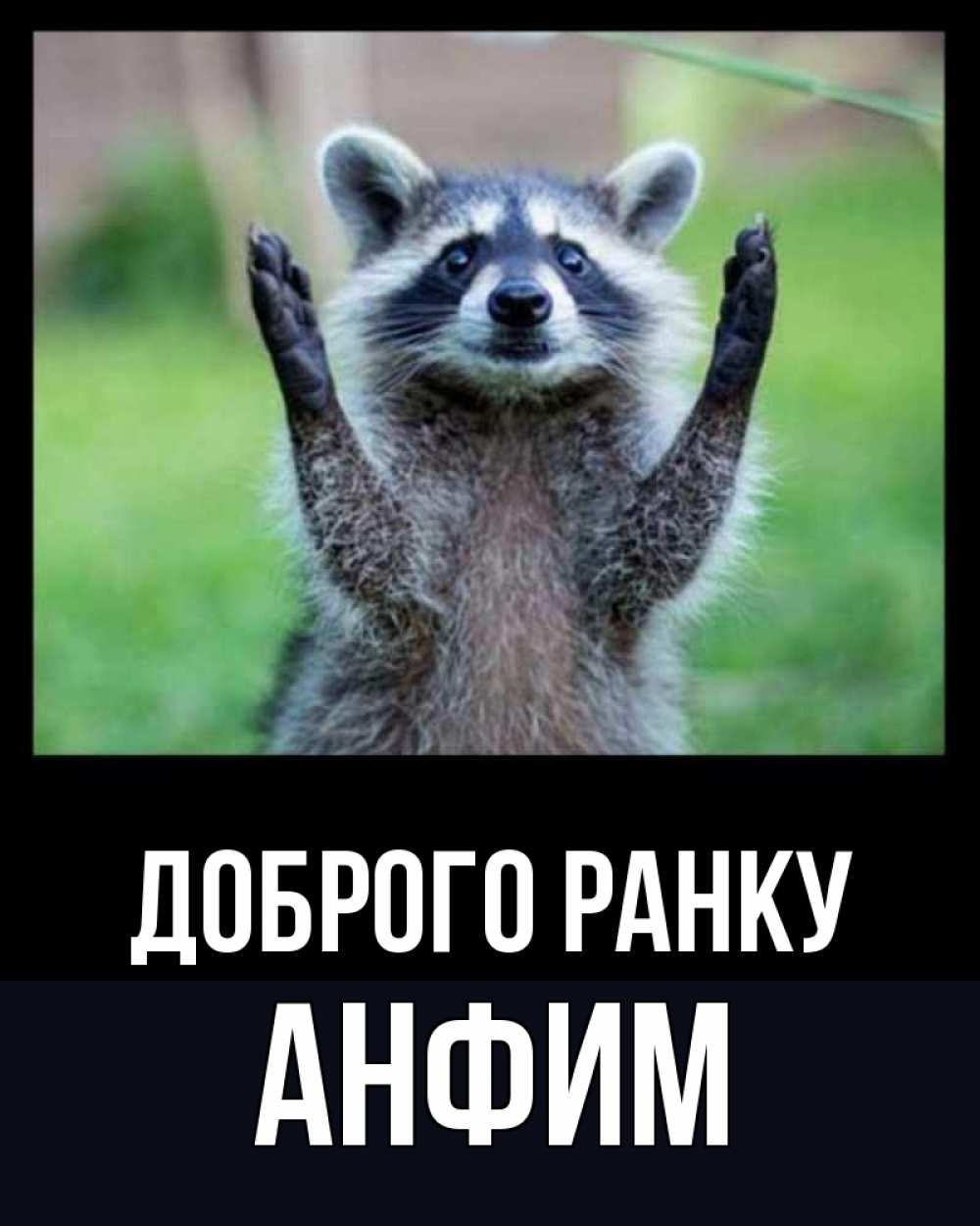 Открытка на каждый день з підписом, Анфим Доброго ранку хорошее настроение утречком Прикольна листівка з побажанням онлайн скачати безкоштовно 