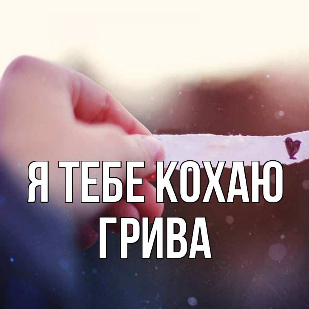Открытка на каждый день з підписом, Грива Я тебе кохаю для тебя Прикольна листівка з побажанням онлайн скачати безкоштовно 