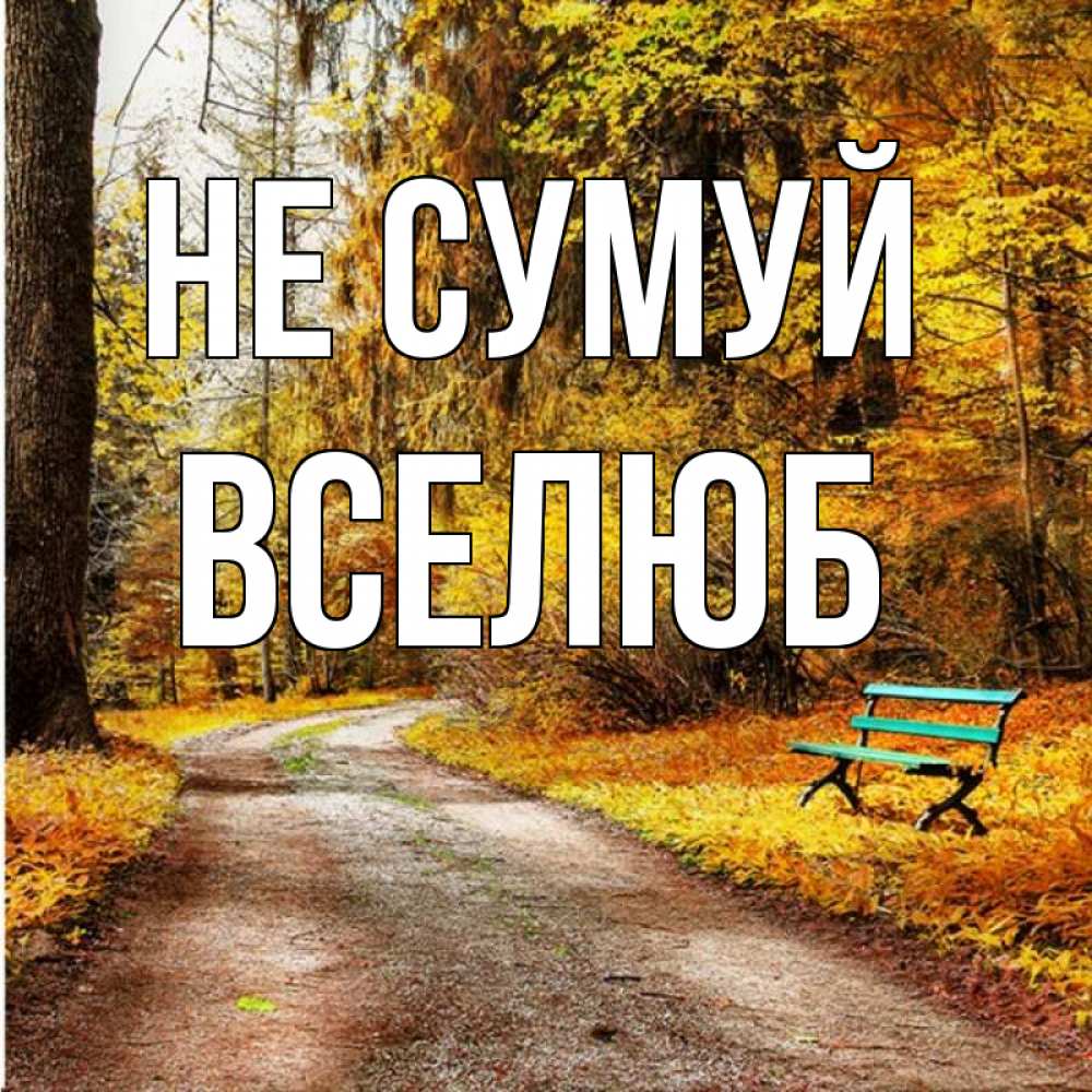 Открытка на каждый день з підписом, Вселюб Не сумуй зеленая лавочка Прикольна листівка з побажанням онлайн скачати безкоштовно 