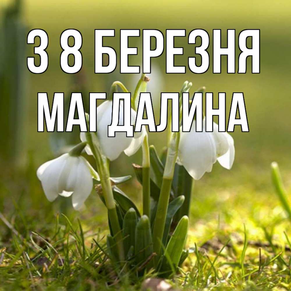 Открытка на каждый день з підписом, Магдалина З 8 БЕРЕЗНЯ ранние цветы 2 Прикольна листівка з побажанням онлайн скачати безкоштовно 