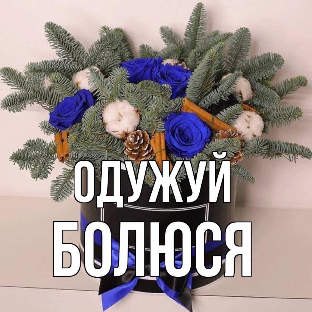 Открытка на каждый день з підписом, Болюся Одужуй короче кто то загрузил эти шишки Прикольна листівка з побажанням онлайн скачати безкоштовно 