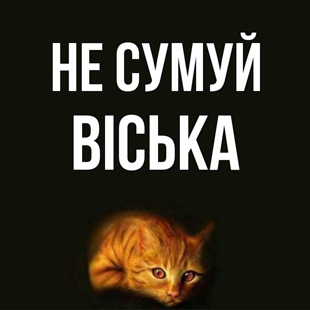 Открытка на каждый день з підписом, Віська Не сумуй лежащий кот в темноте Прикольна листівка з побажанням онлайн скачати безкоштовно 