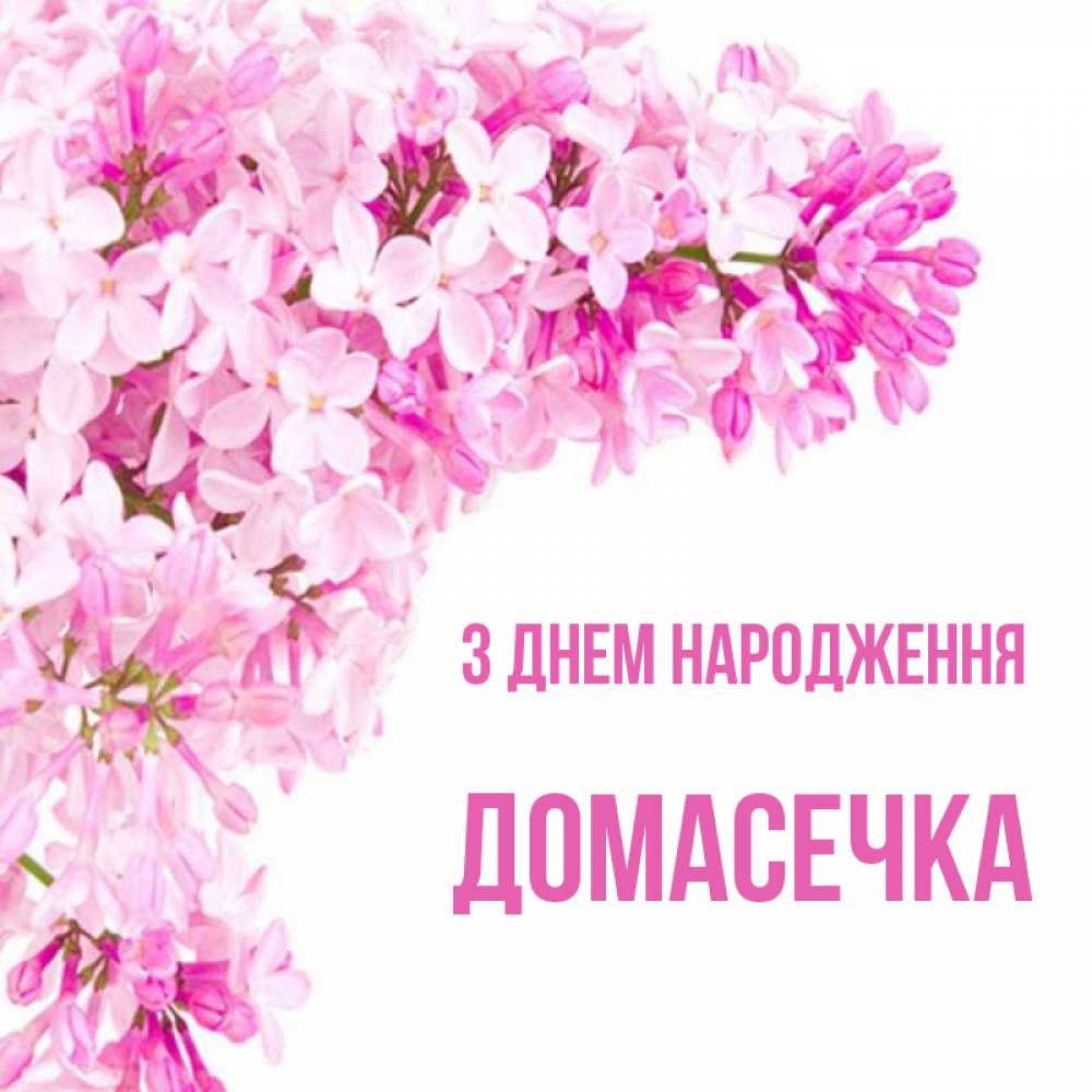 Открытка на каждый день з підписом, Домасечка З Днем народження Сирень на белом фоне Прикольна листівка з побажанням онлайн скачати безкоштовно 