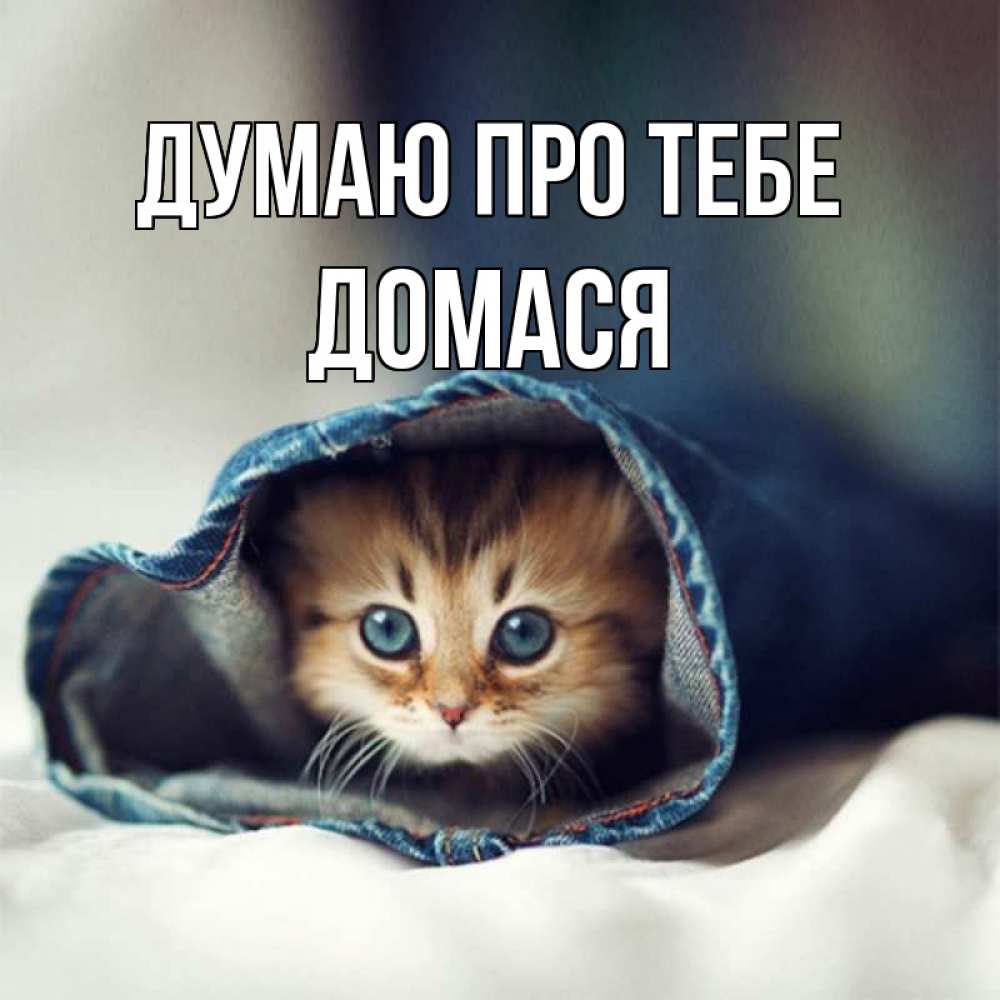 Открытка на каждый день з підписом, Домася Думаю про тебе мне без тебя плохо Прикольна листівка з побажанням онлайн скачати безкоштовно 
