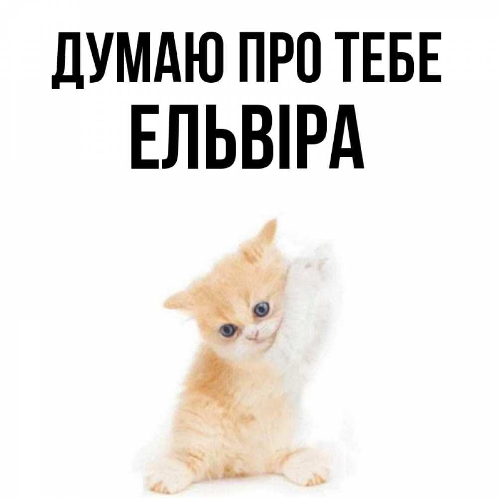 Открытка на каждый день з підписом, Ельвіра Думаю про тебе зверушки и милота Прикольна листівка з побажанням онлайн скачати безкоштовно 