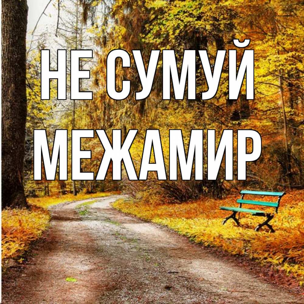 Открытка на каждый день з підписом, Межамир Не сумуй зеленая лавочка Прикольна листівка з побажанням онлайн скачати безкоштовно 