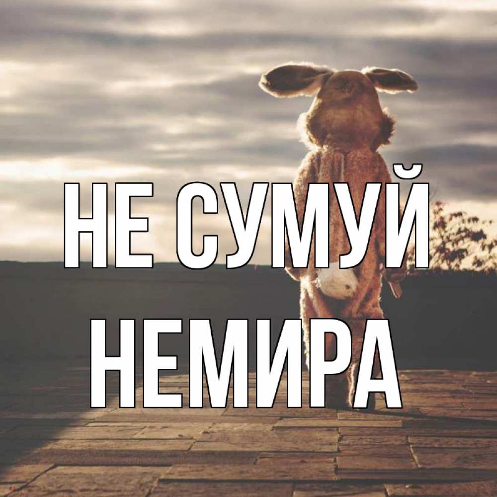 Открытка на каждый день з підписом, Немира Не сумуй со спины Прикольна листівка з побажанням онлайн скачати безкоштовно 