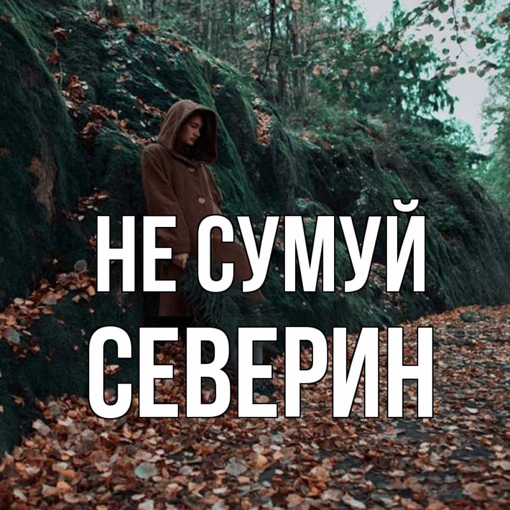 Открытка на каждый день з підписом, Северин Не сумуй осенний лес Прикольна листівка з побажанням онлайн скачати безкоштовно 