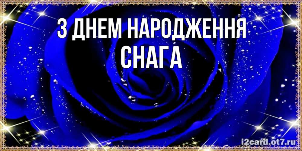 Открытка на каждый день з підписом, Снага З Днем народження голубые цветы в росе Прикольна листівка з побажанням онлайн скачати безкоштовно 