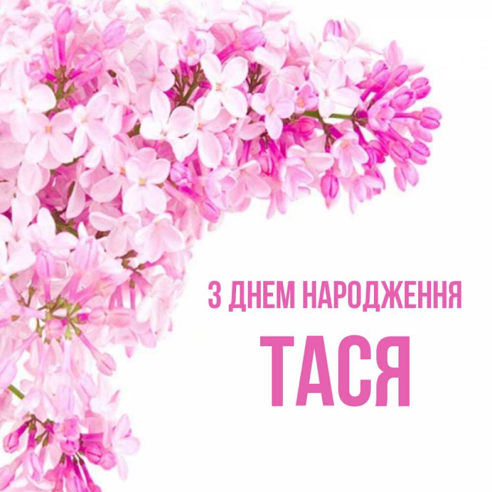 Открытка на каждый день з підписом, Тася З Днем народження Сирень на белом фоне Прикольна листівка з побажанням онлайн скачати безкоштовно 