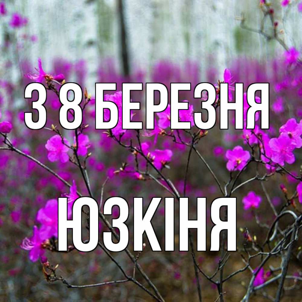 Открытка на каждый день з підписом, Юзкіня З 8 БЕРЕЗНЯ дикие цветы Прикольна листівка з побажанням онлайн скачати безкоштовно 