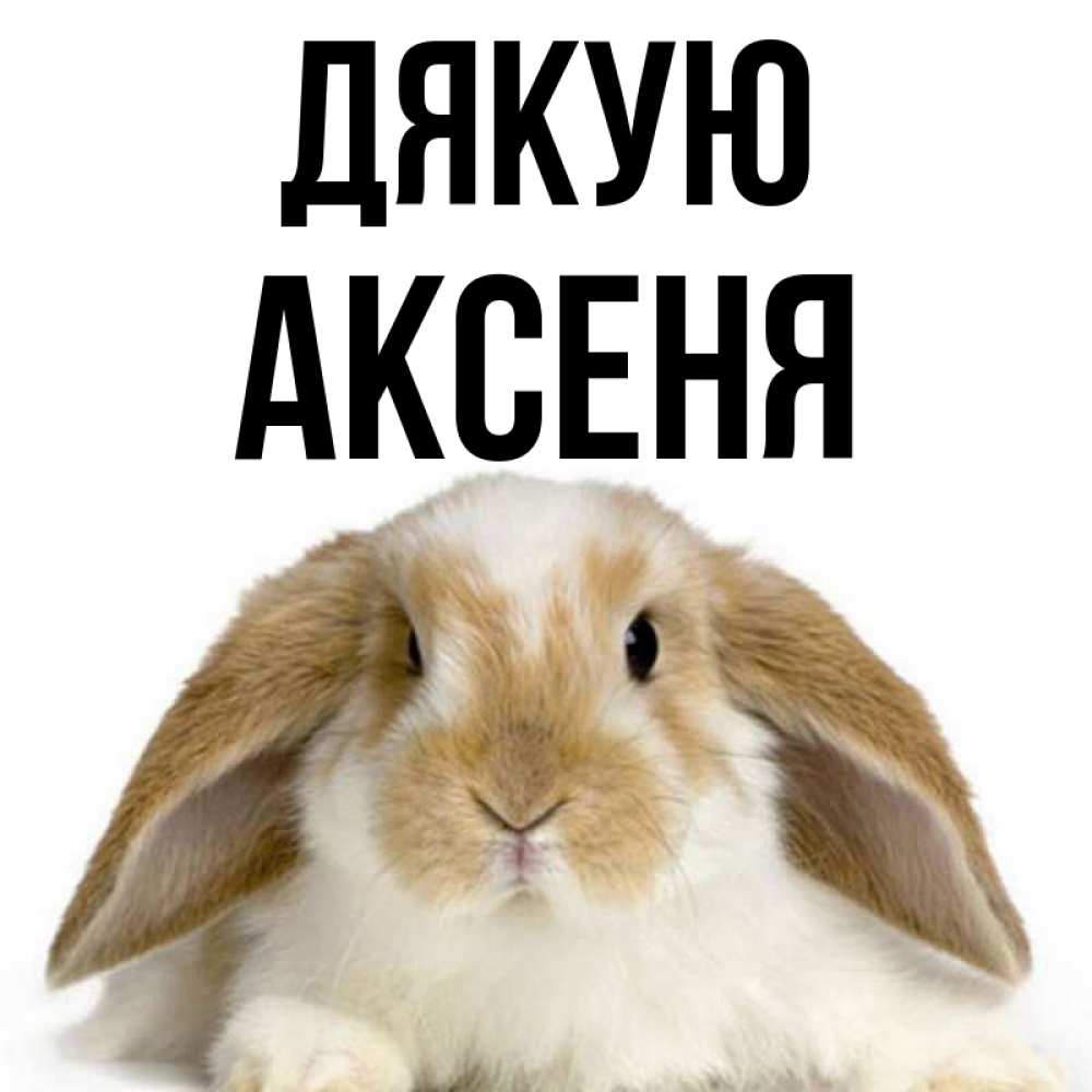Открытка на каждый день з підписом, Аксеня Дякую коричнево белый заяц Прикольна листівка з побажанням онлайн скачати безкоштовно 