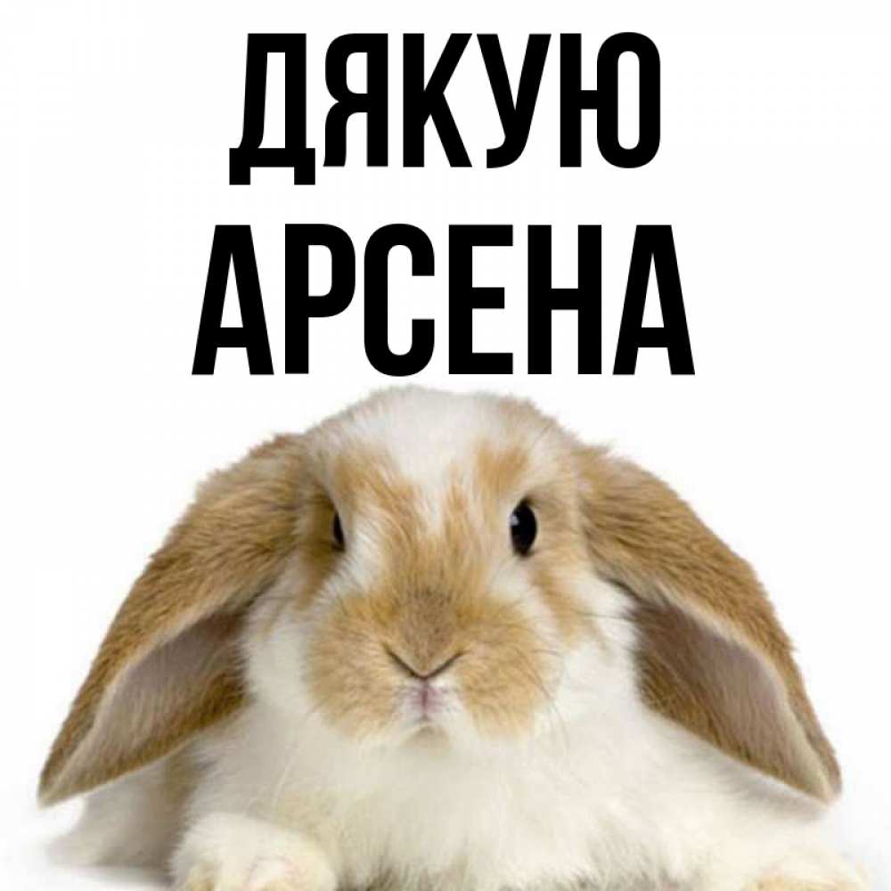 Открытка на каждый день з підписом, Арсена Дякую коричнево белый заяц Прикольна листівка з побажанням онлайн скачати безкоштовно 