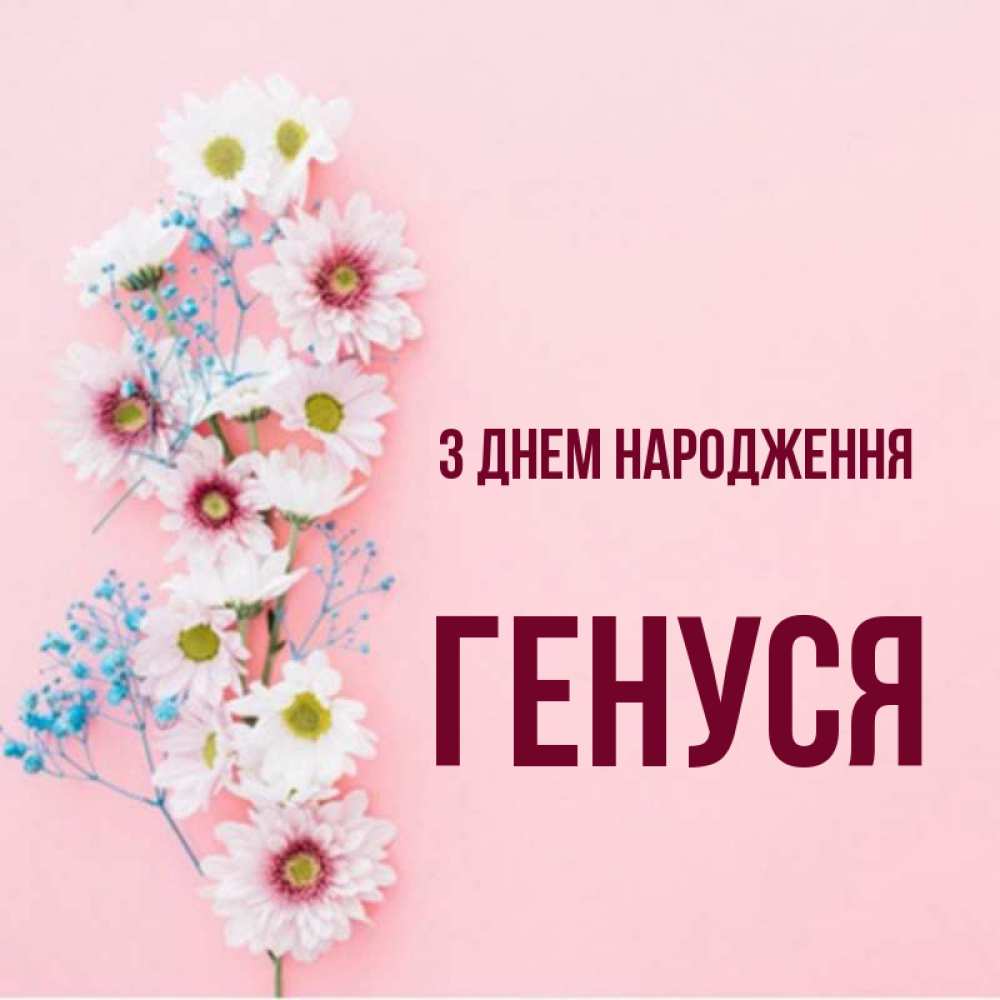 Открытка на каждый день з підписом, Генуся З Днем народження Родная моя с днем рождения тебя картинка с цветами белыми и голубыми Прикольна листівка з побажанням онлайн скачати безкоштовно 