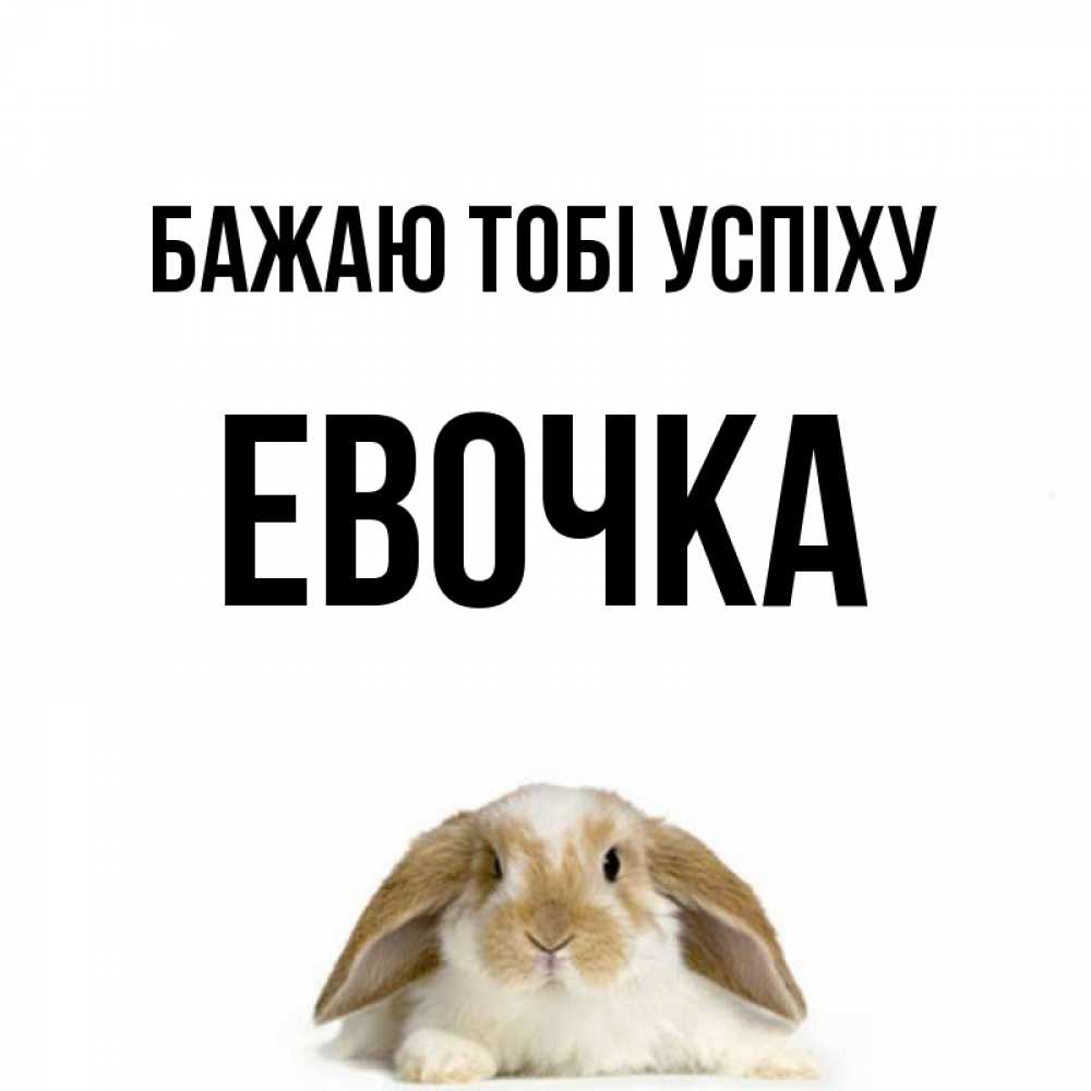 Открытка на каждый день з підписом, Евочка Бажаю тобі успіху открытки с произвольным текстом который можно вставить в открытку и создать ее самостоятельно бесплатно онлайн Прикольна листівка з побажанням онлайн скачати безкоштовно 