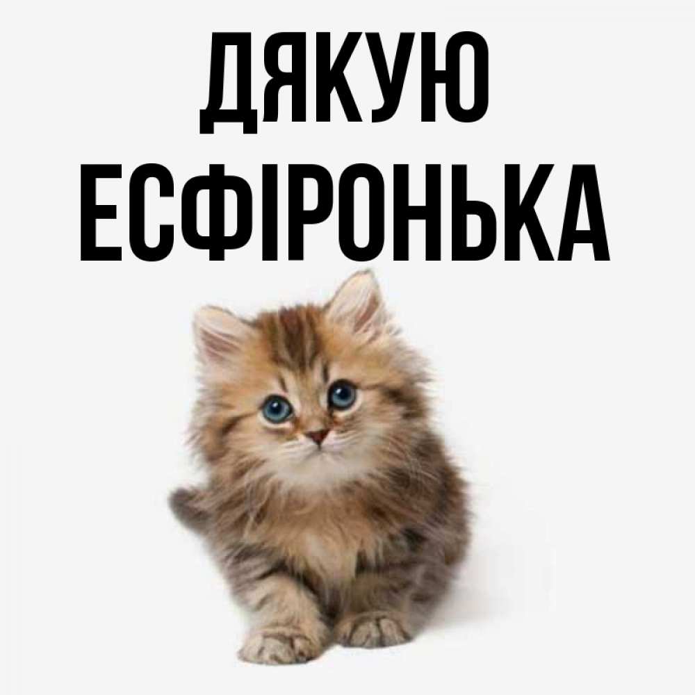Открытка на каждый день з підписом, Есфіронька Дякую пушистый котик Прикольна листівка з побажанням онлайн скачати безкоштовно 