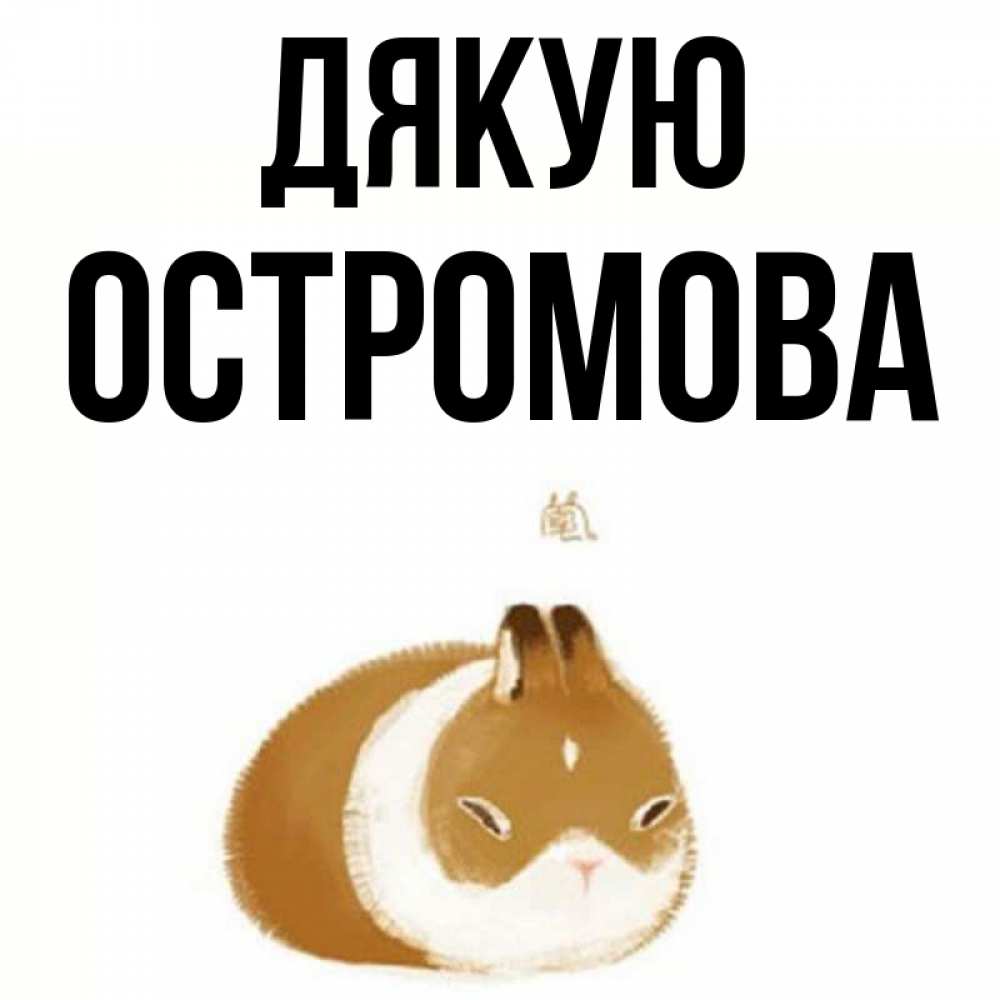 Открытка на каждый день з підписом, Остромова Дякую коричнево белый домашний питомец Прикольна листівка з побажанням онлайн скачати безкоштовно 