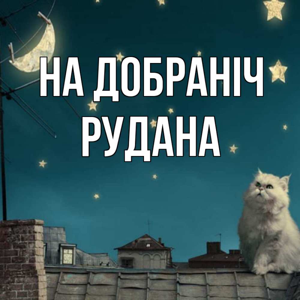 Открытка на каждый день з підписом, Рудана На добраніч белый кот сидит на крыше Прикольна листівка з побажанням онлайн скачати безкоштовно 
