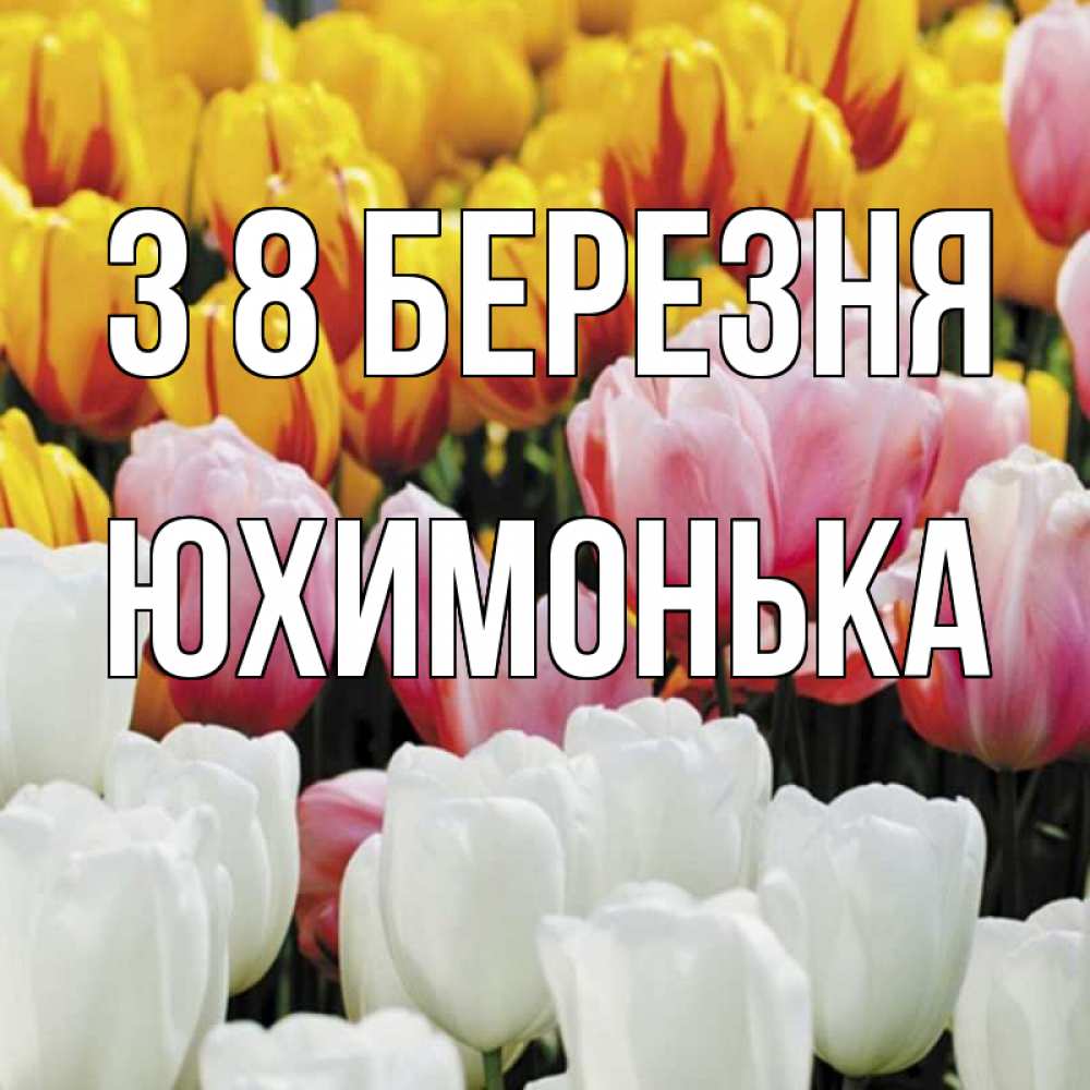 Открытка на каждый день з підписом, Юхимонька З 8 БЕРЕЗНЯ разноцветные цветы Прикольна листівка з побажанням онлайн скачати безкоштовно 