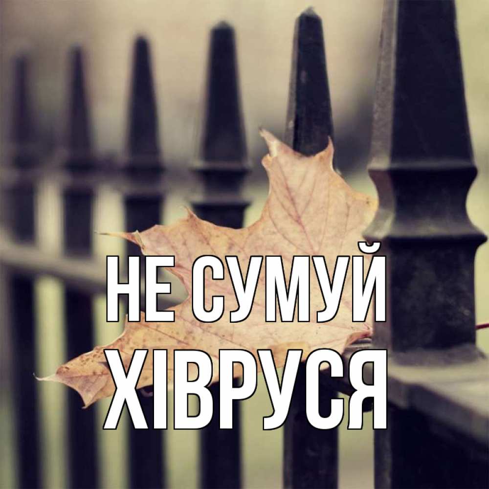 Открытка на каждый день з підписом, Хівруся Не сумуй лист клена Прикольна листівка з побажанням онлайн скачати безкоштовно 