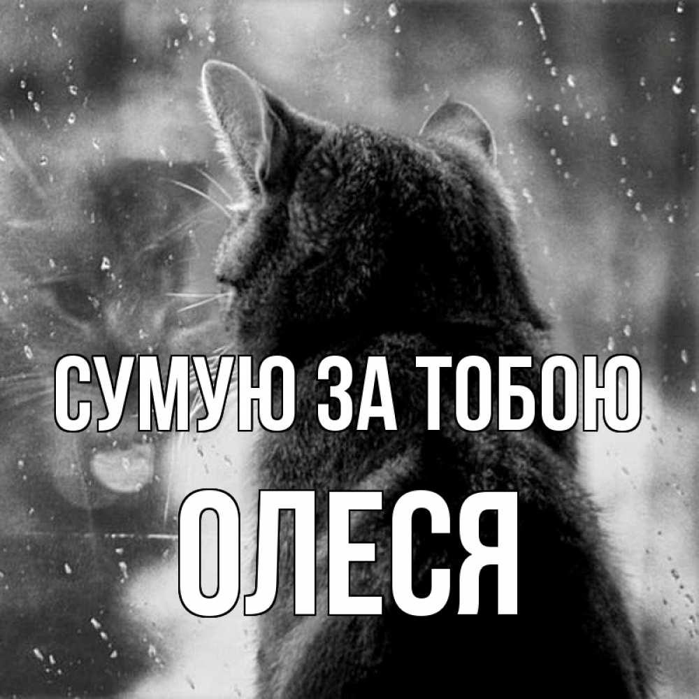 Открытка на каждый день з підписом, Олеся Сумую за тобою скорее ко мне приходи 1 Прикольна листівка з побажанням онлайн скачати безкоштовно 