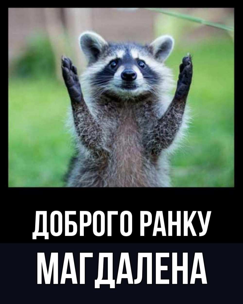 Открытка на каждый день з підписом, Магдалена Доброго ранку хорошее настроение утречком Прикольна листівка з побажанням онлайн скачати безкоштовно 
