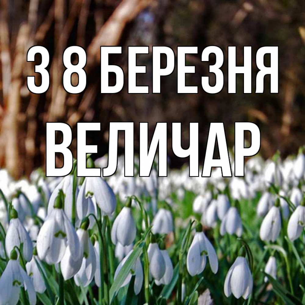 Открытка на каждый день з підписом, Величар З 8 БЕРЕЗНЯ с подснежниками 1 Прикольна листівка з побажанням онлайн скачати безкоштовно 