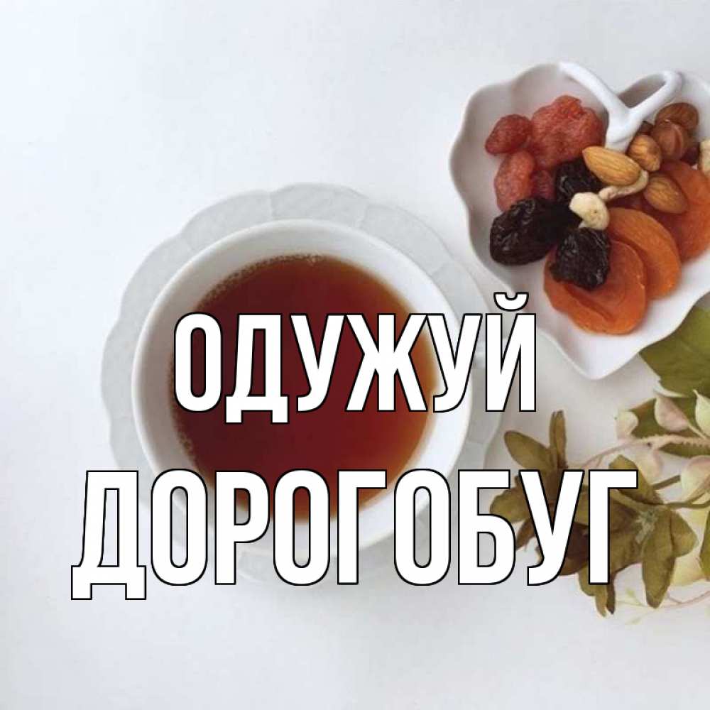 Открытка на каждый день з підписом, Дорогобуг Одужуй неизвестные растения Прикольна листівка з побажанням онлайн скачати безкоштовно 