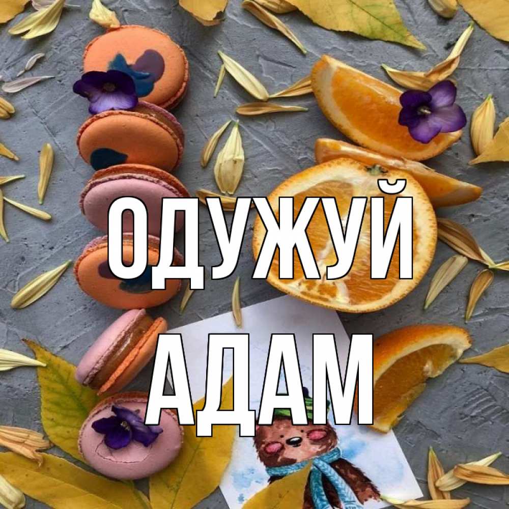 Открытка на каждый день з підписом, Адам Одужуй не болейте Прикольна листівка з побажанням онлайн скачати безкоштовно 