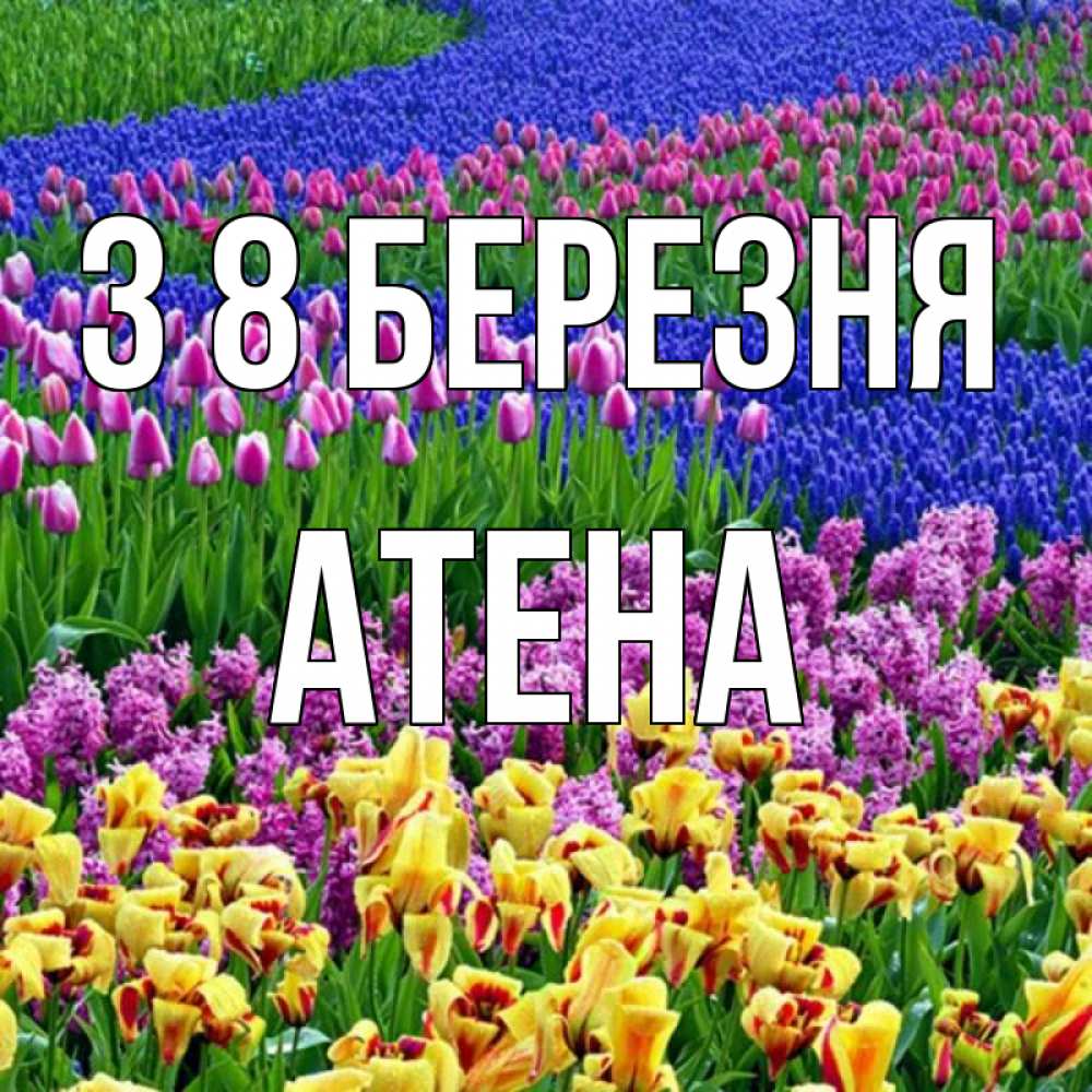 Открытка на каждый день з підписом, Атена З 8 БЕРЕЗНЯ цветы Прикольна листівка з побажанням онлайн скачати безкоштовно 