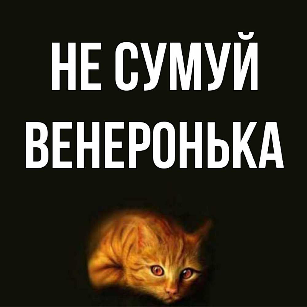 Открытка на каждый день з підписом, Венеронька Не сумуй лежащий кот в темноте Прикольна листівка з побажанням онлайн скачати безкоштовно 