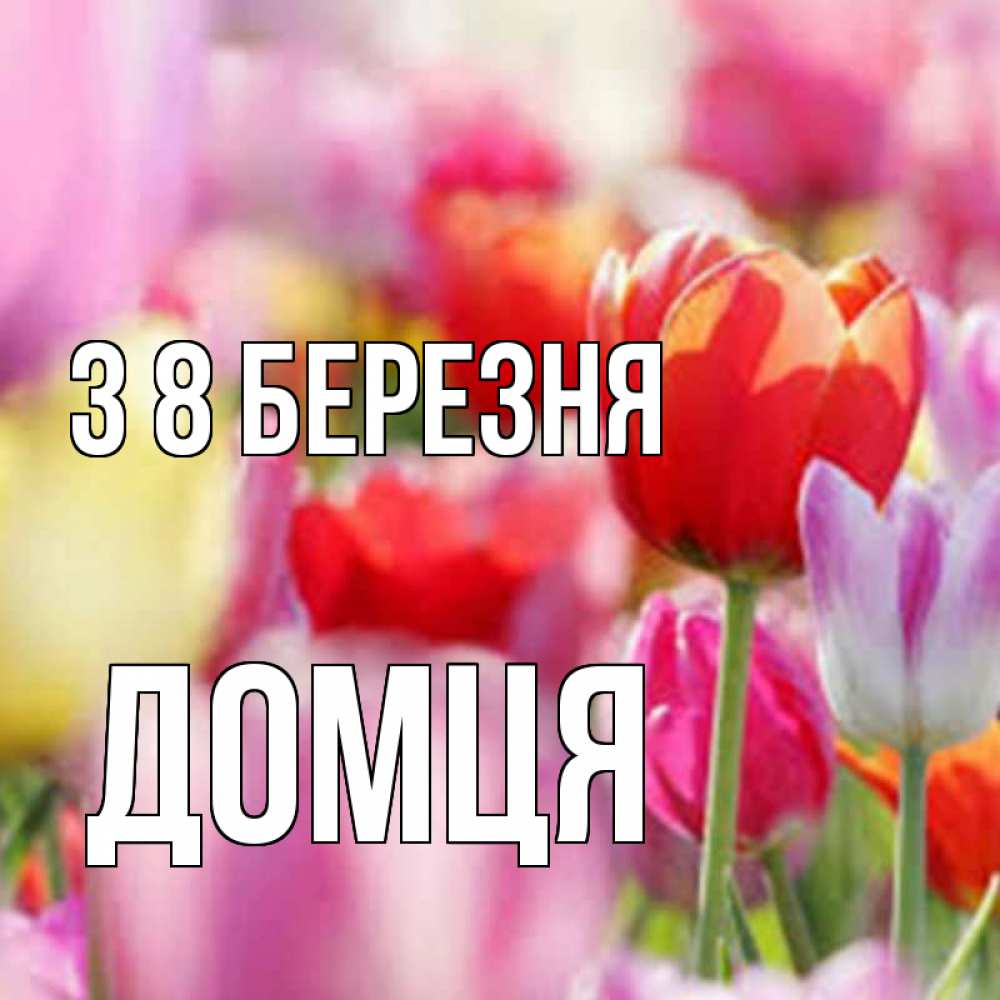 Открытка на каждый день з підписом, Домця З 8 БЕРЕЗНЯ на международный женский день 2 Прикольна листівка з побажанням онлайн скачати безкоштовно 