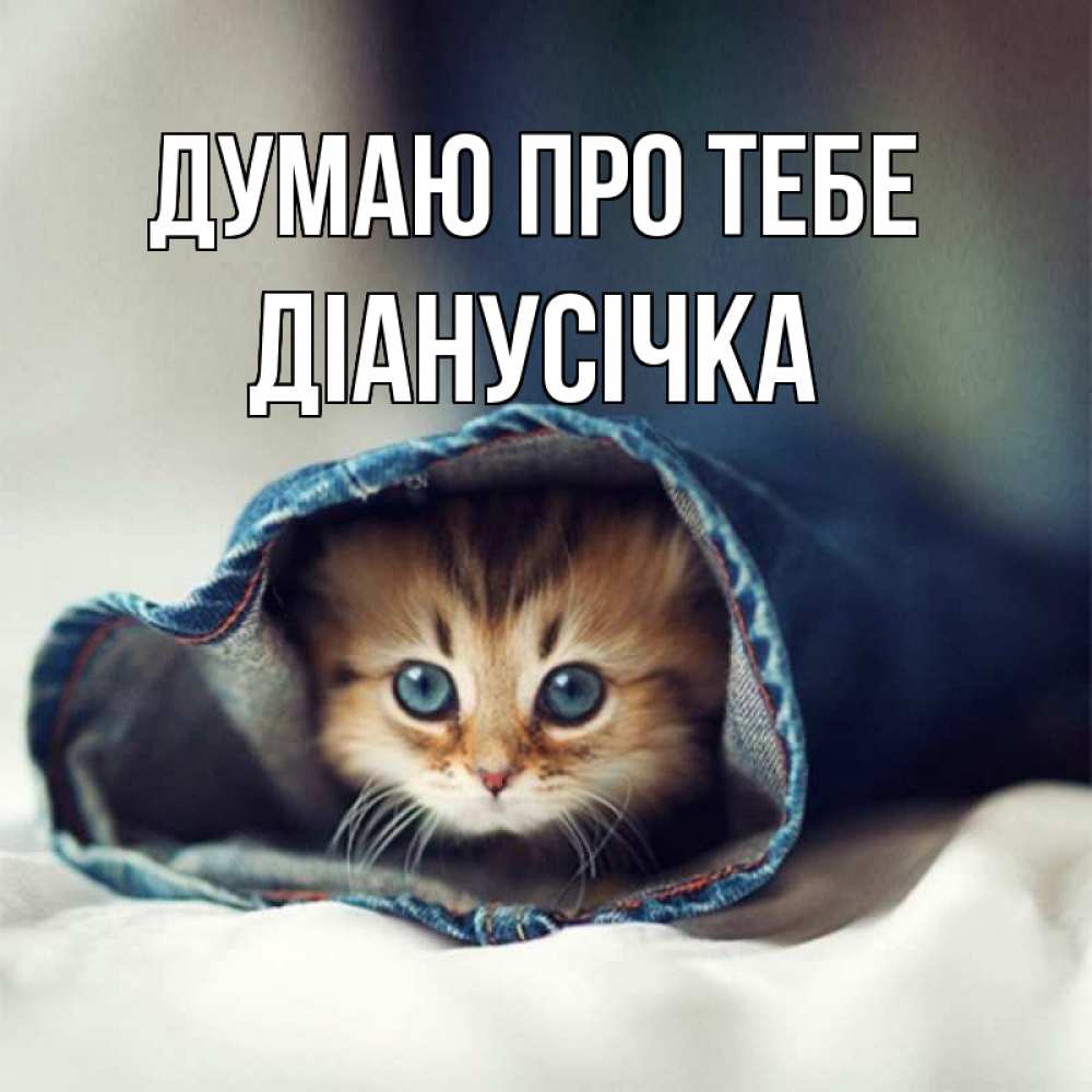 Открытка на каждый день з підписом, Діанусічка Думаю про тебе мне без тебя плохо Прикольна листівка з побажанням онлайн скачати безкоштовно 