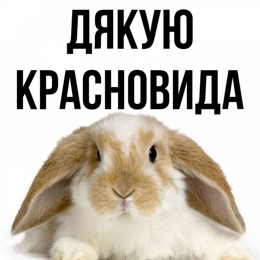 Открытка на каждый день з підписом, Красновида Дякую коричнево белый заяц Прикольна листівка з побажанням онлайн скачати безкоштовно 