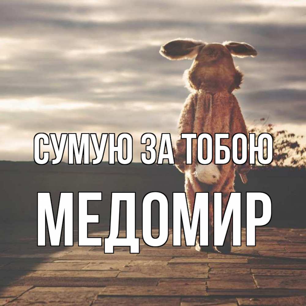 Открытка на каждый день з підписом, Медомир Сумую за тобою даже в костюме зайца Прикольна листівка з побажанням онлайн скачати безкоштовно 