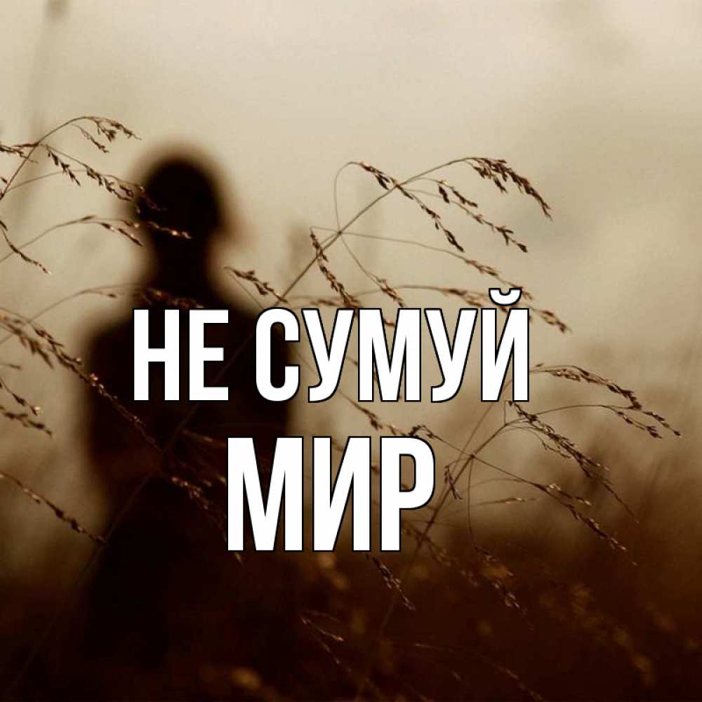 Открытка на каждый день з підписом, Мир Не сумуй грусть Прикольна листівка з побажанням онлайн скачати безкоштовно 