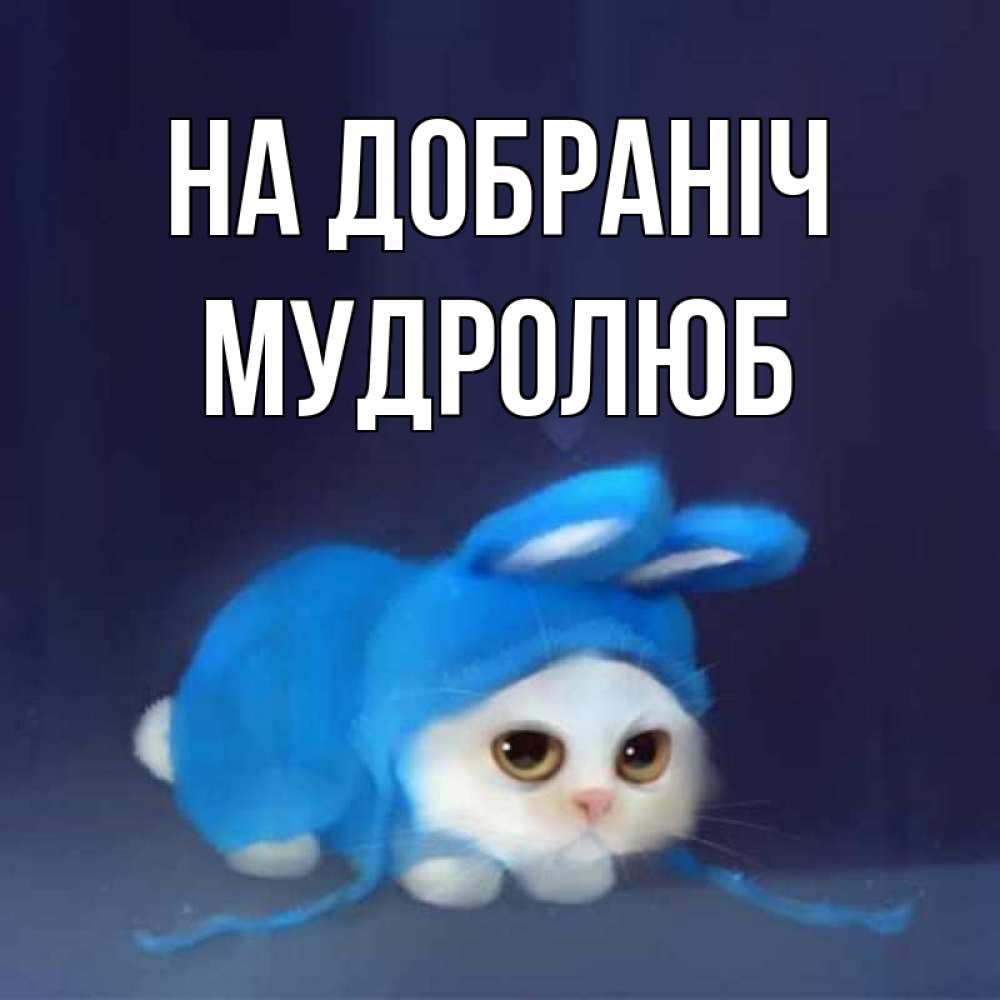 Открытка на каждый день з підписом, Мудролюб На добраніч кот в голубом костюме кролика с ушками Прикольна листівка з побажанням онлайн скачати безкоштовно 