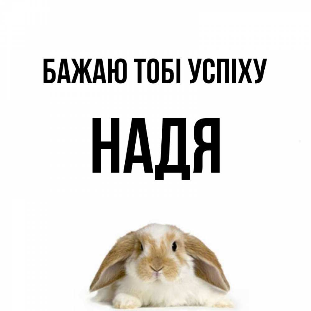 Открытка на каждый день з підписом, Надя Бажаю тобі успіху открытки с произвольным текстом который можно вставить в открытку и создать ее самостоятельно бесплатно онлайн Прикольна листівка з побажанням онлайн скачати безкоштовно 